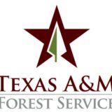 Overview of the 89th Regular Texas Legislative Session