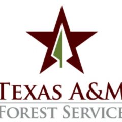Texas A&M Forest Service Encourages Caution As Wildfire Danger Increases Statewide