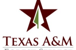 Texas A&M Forest Service Awards $17 Million to Texas Fire Departments
