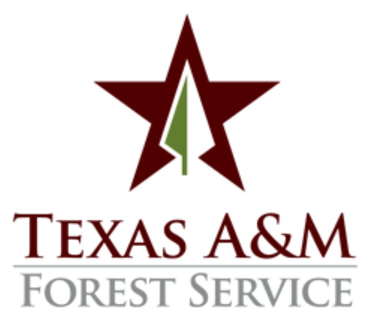 Texas A&M Forest Service