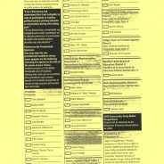Democratic Voters To Consider 11 Propositions On March 3 Primary Ballot