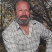 Ibra Mills