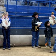 Hopkins County Junior Market Livestock Show Poultry, Swine Results