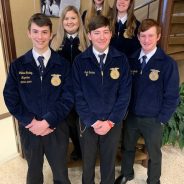 Blue-Ribbon Winners in Saltillo FFA Chapter Plan a Stew/Auction Fundraiser