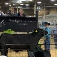 NETLA Reports Early Tabulations From Saturday’s Hopkins County Junior Livestock Sale Of Champions