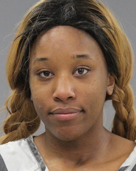 A 25-year-old Little Rock, Arkansas woman allegedly admitted to being under...
