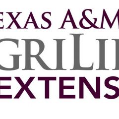 AgriLife Extension To Offer Marriage And Diabetes Education Sessions