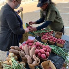 Fresh from Nature: The Winnsboro Farmer’s Market Offers Bounty on Saturdays