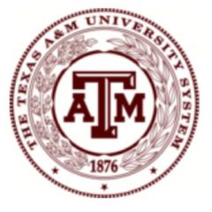 Texas A&M System Inks Deal For Free COVID-19 Testing For All Students, Faculty And Staff