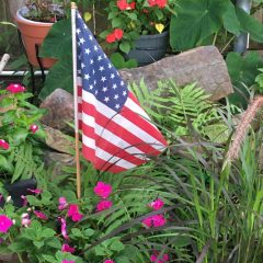 Simple Pleasures: Celebrating July 4th, 2020