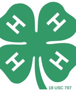 Texas Farm Bureau names 2025 Clover Cash grant recipients