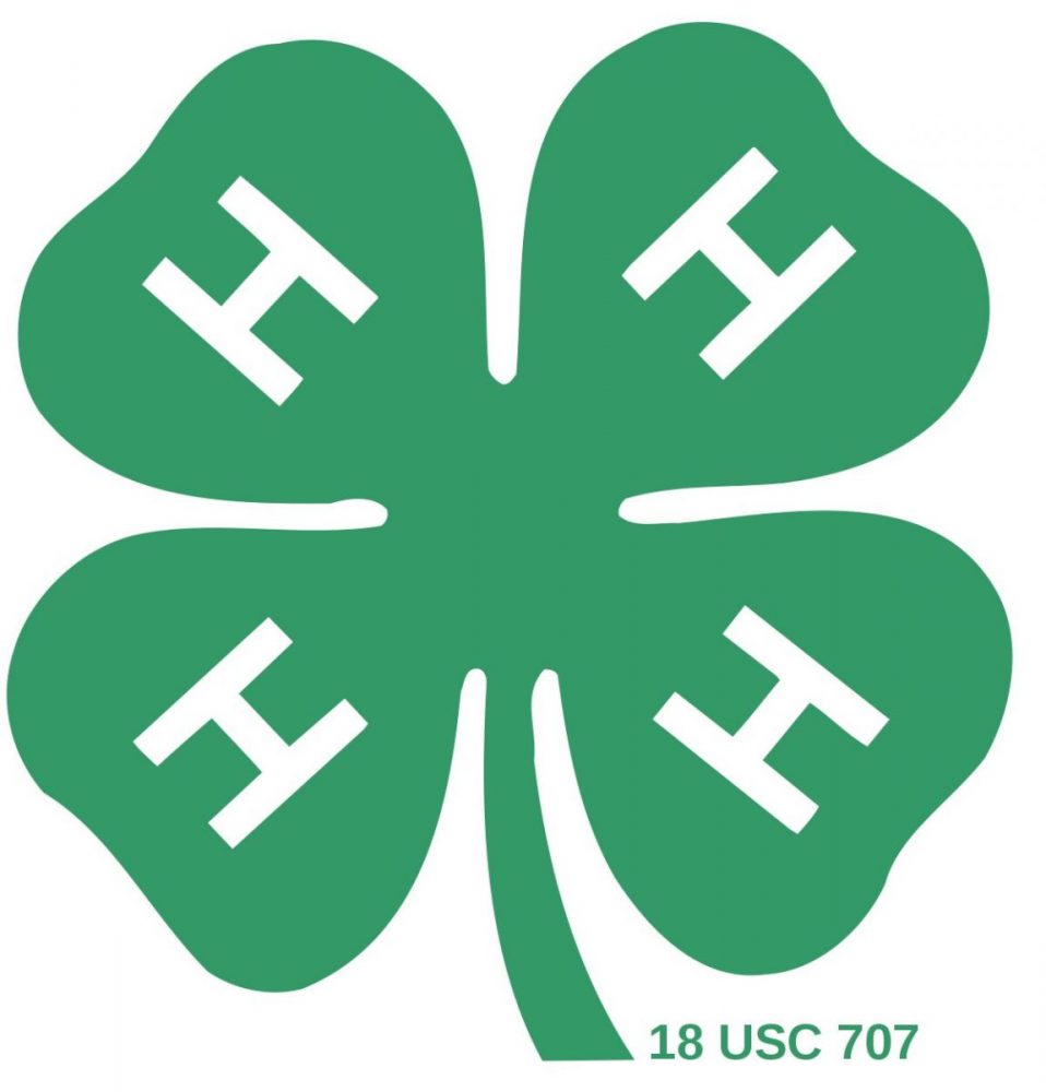 Hopkins County 4-H Gives Back