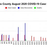 Hopkins County COVID-19 Update: 3 New Cases, 3 Recoveries Reported Aug. 31