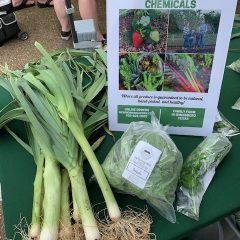 Vote Winnsboro Farmer’s Market as ‘Best’ During Ntl. Farmers Market Celebration!