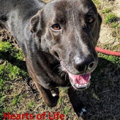 Meet CeCe