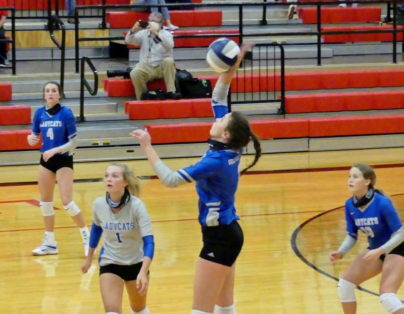 Lady Cats Volleyball vs Greenville Sep 2020 EDIT P1860964 KSST