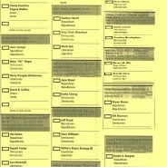 School, City, District, County, State, National Elections On Nov. 3 Ballots In Hopkins County