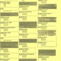 School, City, District, County, State, National Elections On Nov. 3 Ballots In Hopkins County