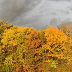 Fall Color Abounds at Cooper Lake State Park’s Forests, Prairies, Lakeside