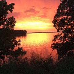 Steve Killian Reports Cooper Lake State Park is Summer-Ready!