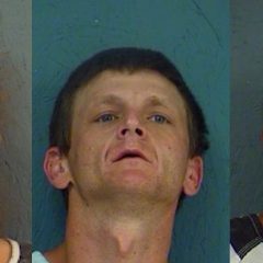 Deputies Found 2 Baggies Of Methamphetamine While Serving A Felony Warrant