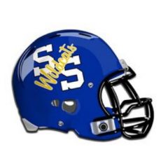 Wildcats 7 on 7 Goes 1-2 in State Qualifier Tournament Last Weekend in Tyler