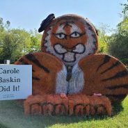 2020 Hay Bale Sculpture Contest Underway