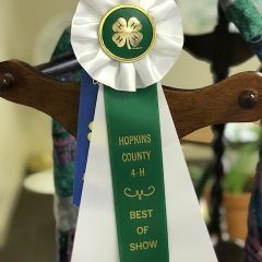 4-H Project Show Results