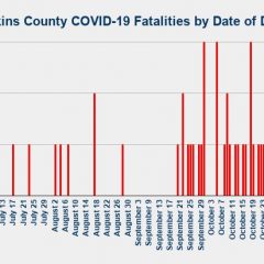 Nov. 11-12 COVID-19 Updates: 2 Fatalities, 10 New Cases