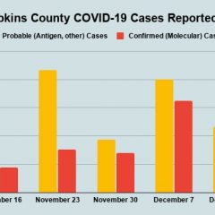 Dec. 14 COVID-19 Update: 2 New Confirmed Cases, 5 Probable Cases