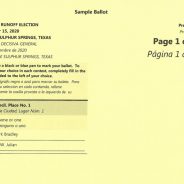 Early Voting In Place 1 City Council Runoff Election Begins Dec. 3