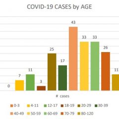Hopkins County COVID-19 Case Counts By Age For The Last 2 Weeks