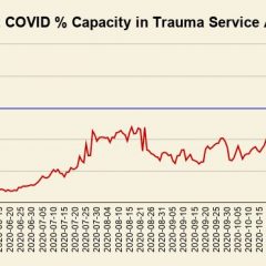 Jan. 8 COVID-19 Update: 12 New Cases, 4 Recoveries, 217 Active Cases