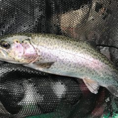 February is a Cool Time to Experience the Wonders of Nature (and Catch a Rainbow Trout!) at Cooper Lake State Park