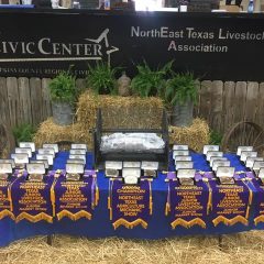 NETLA, Area Youth Gearing Up For The 2022 Hopkins County Junior Market Livestock Show
