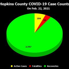 Feb. 13 to Feb. 22 COVID-19 Update: 1 Fatality,  67 New Cases, 80 Recoveries