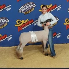 SSHS FFA Annie Horton’s Lamb Wins at San Antonio Show, Earns Place in SA Jr. Livestock Auction
