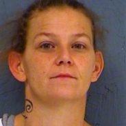 Shannon Road Traffic Stop Results In Controlled Substance Arrest