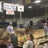 NETLA Market Show Feb 23-27, 2021