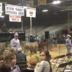 NETLA Market Show Feb 23-27, 2021