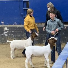 NETLA 2021 Hopkins County Junior Market Goat Show Results