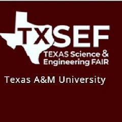 Texas Science and Engineering Fair Seeking Judges for Virtual 2021 Competition