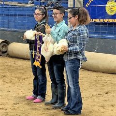 NETLA 2021 Hopkins County Junior Market Broiler Show Results