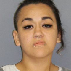 Arkansas Woman Stopped In A Stolen Arizona Rental Vehicle On I-30