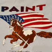 Oldest Registered Paint Horse in America Resides in Hopkins County, and He’s a ‘Ten’!