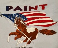 Oldest Registered Paint Horse in America Resides in Hopkins County, and He’s a ‘Ten’!