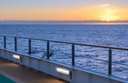 Official Media Statement: South Padre Island Shark Encounters