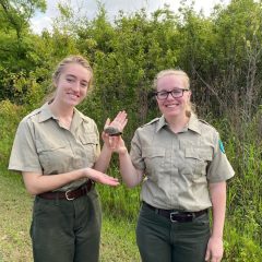 Fun, Educational Interpretive Programs Offered at Cooper Lake State Park This Summer!