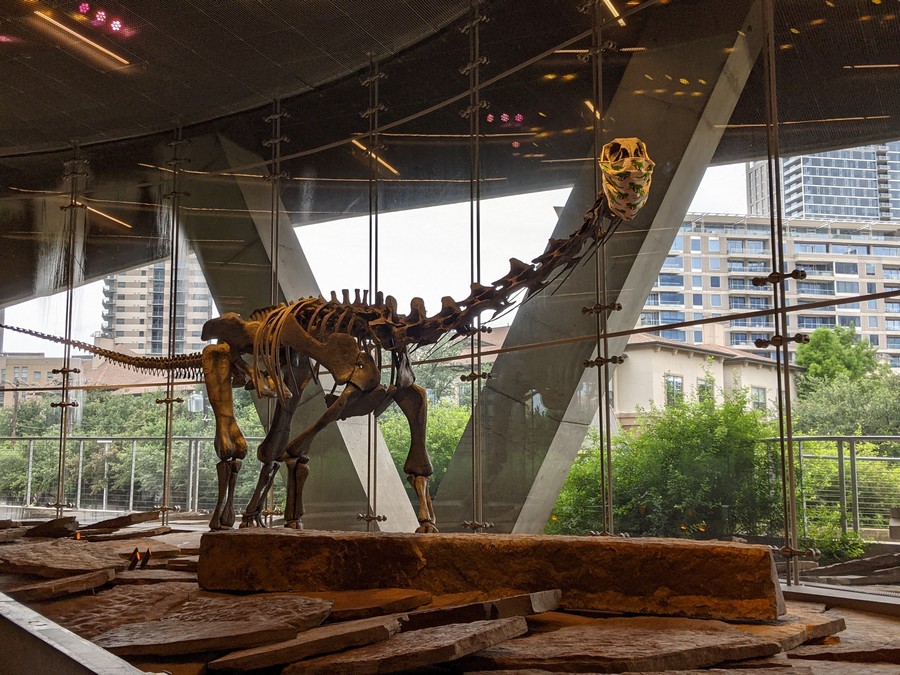 Perot Museum 40