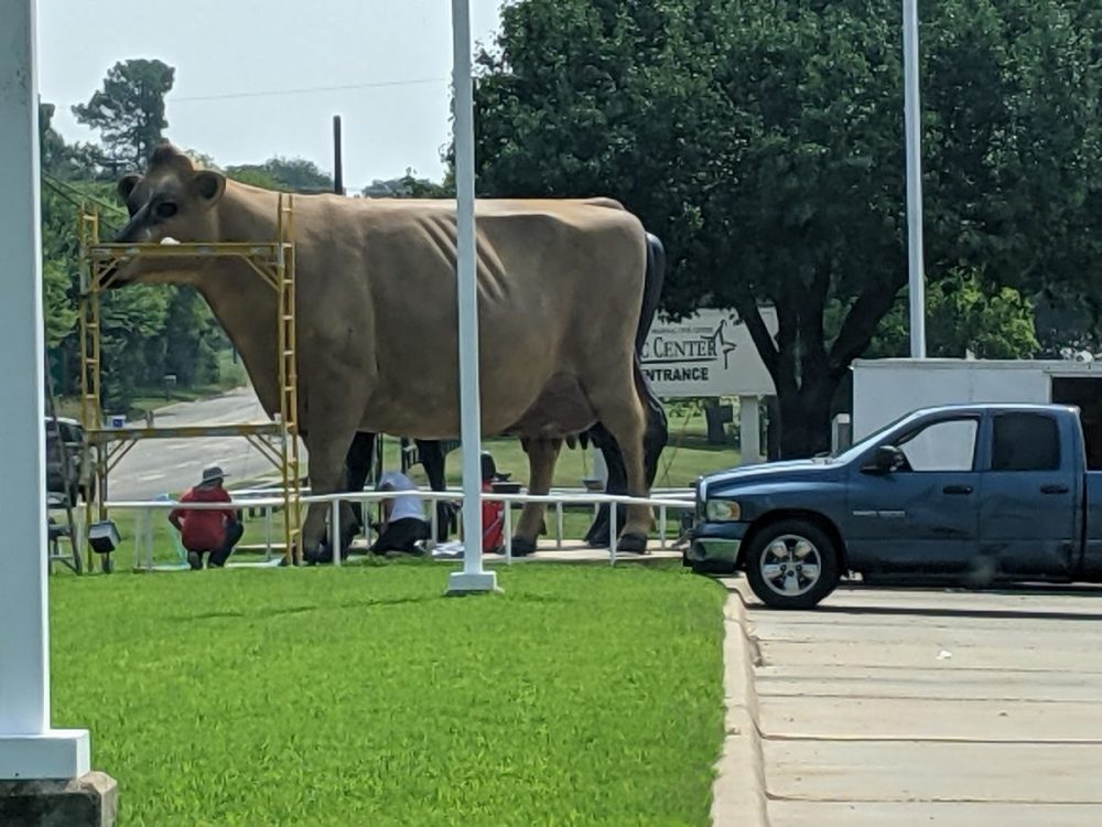 SW Dairy Cows-New Paint 2